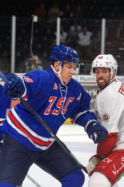 快节奏的竞 快节奏的竞