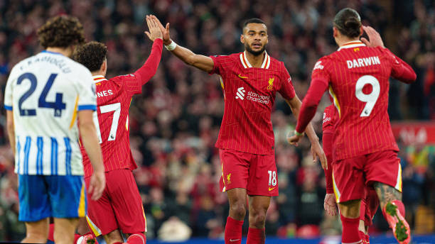 这届世界杯 这届世界杯